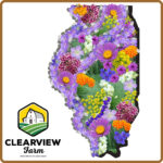 Pollinator Garden Map